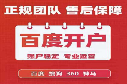 SEM代理助力品牌：案例解析与优化策略